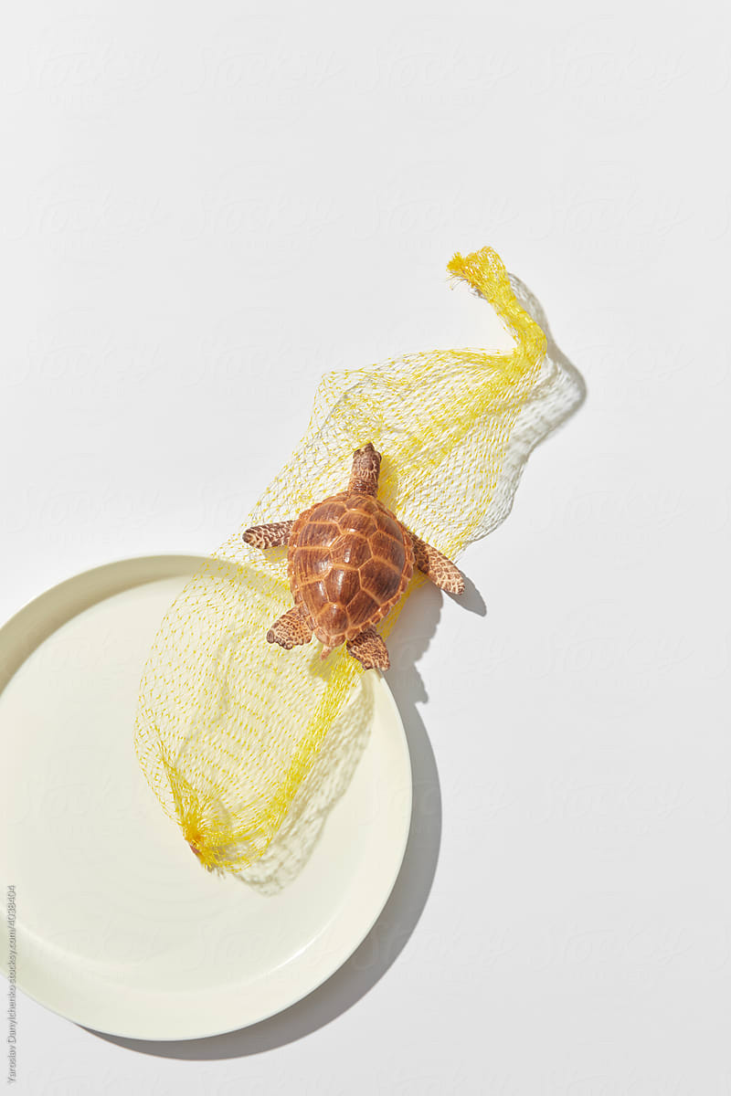 Turtle in plastic net near plate