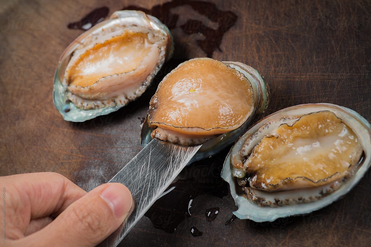 sea food abalone