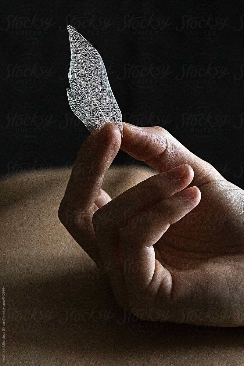 Close Up photo of woman\'s hand holds a white leaf with her fingers