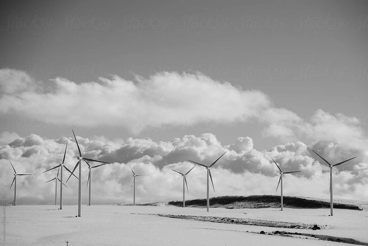 Windmills along Highway in Winter Black and White