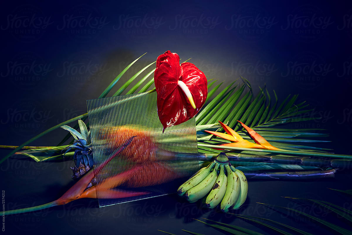 Abstract Floral and Fruit Still Life on Black