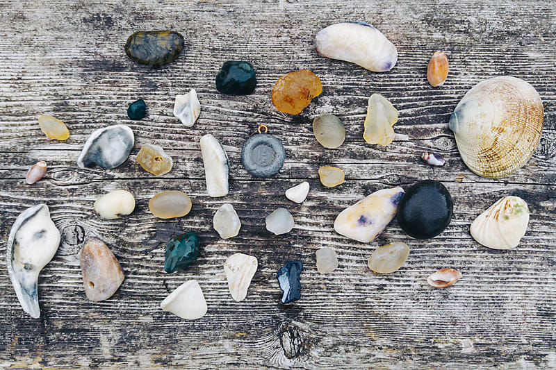 Seashells and Treasures found on the beach
