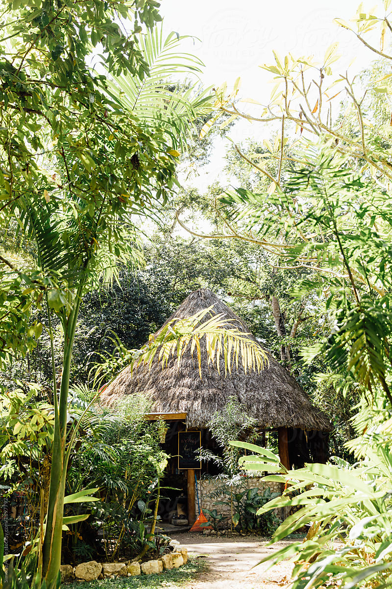 Hut in the rainforest