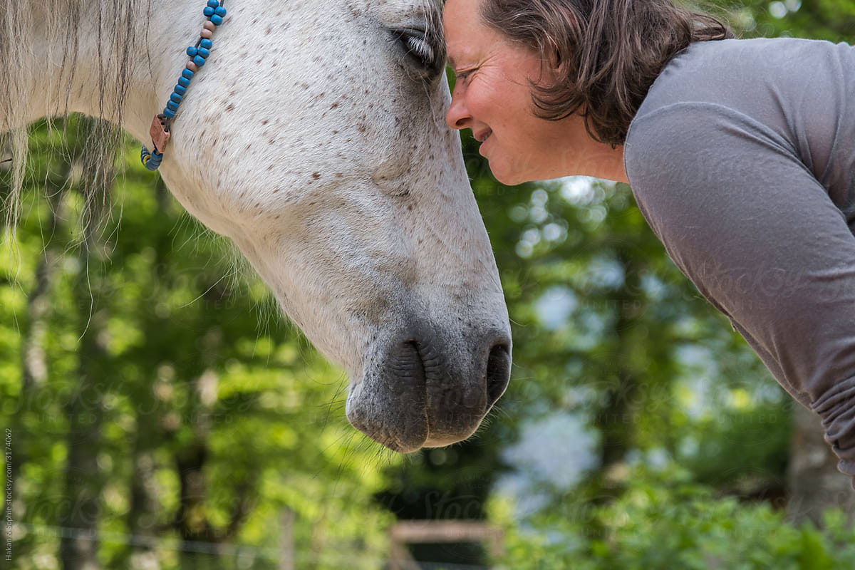 forehead to forehead, human and horse bond