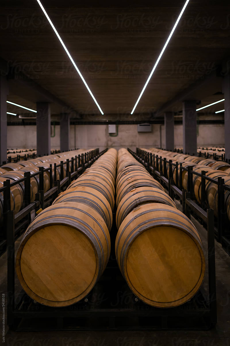 Wooden Barrels In A Modern Wine Cellar.