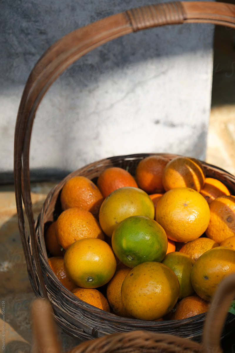 Closeup of freshly picked oranges in a basket