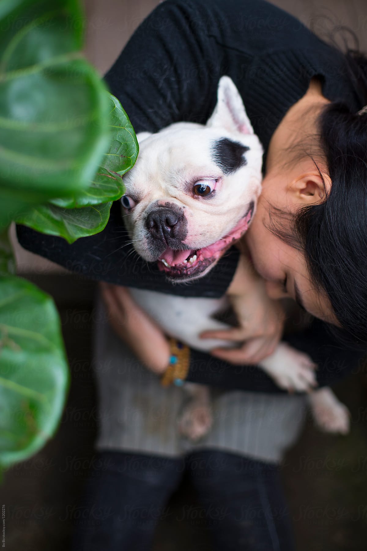 One Young Asian Woman Holding her Dog Bulldog
