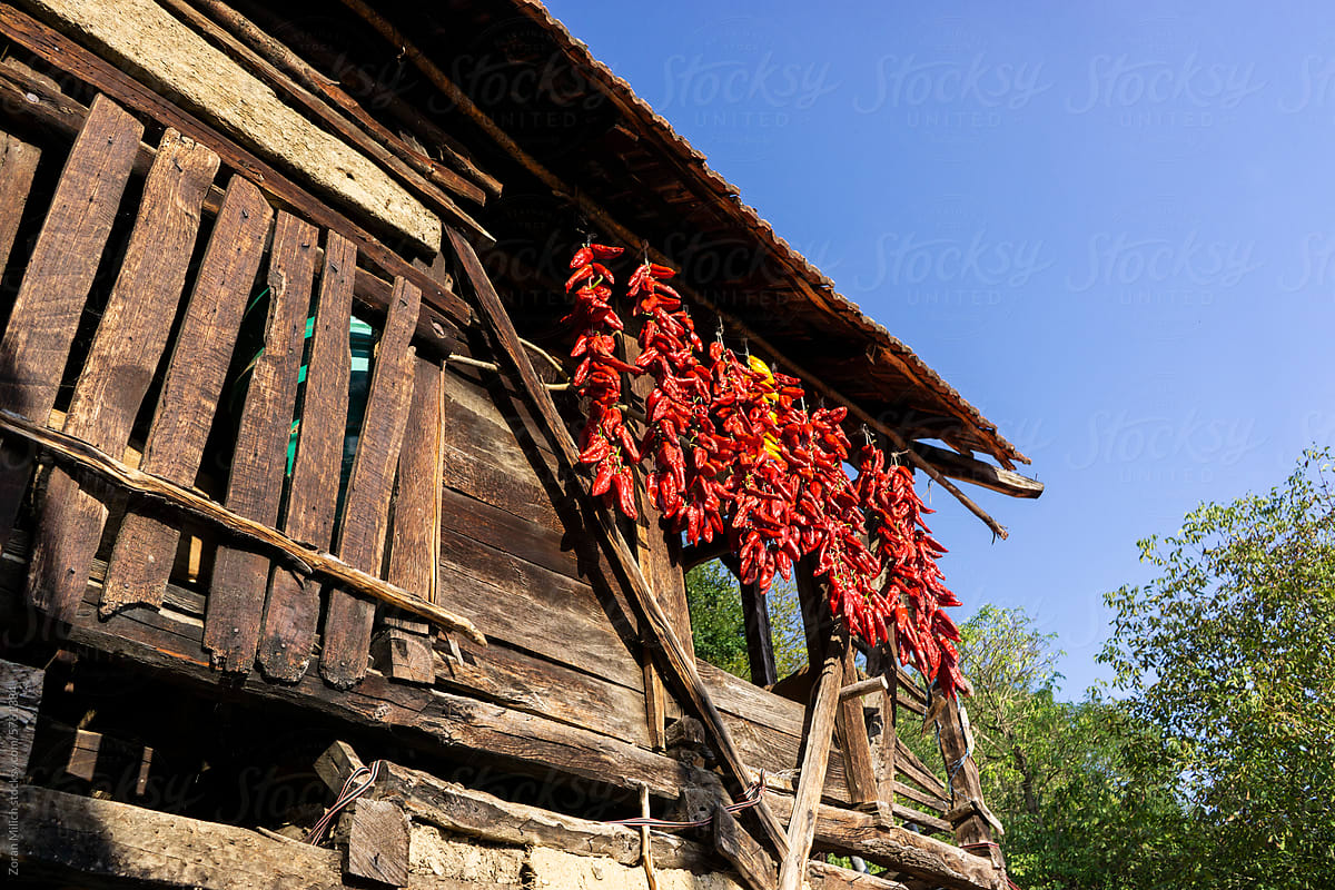 Drying red peppers