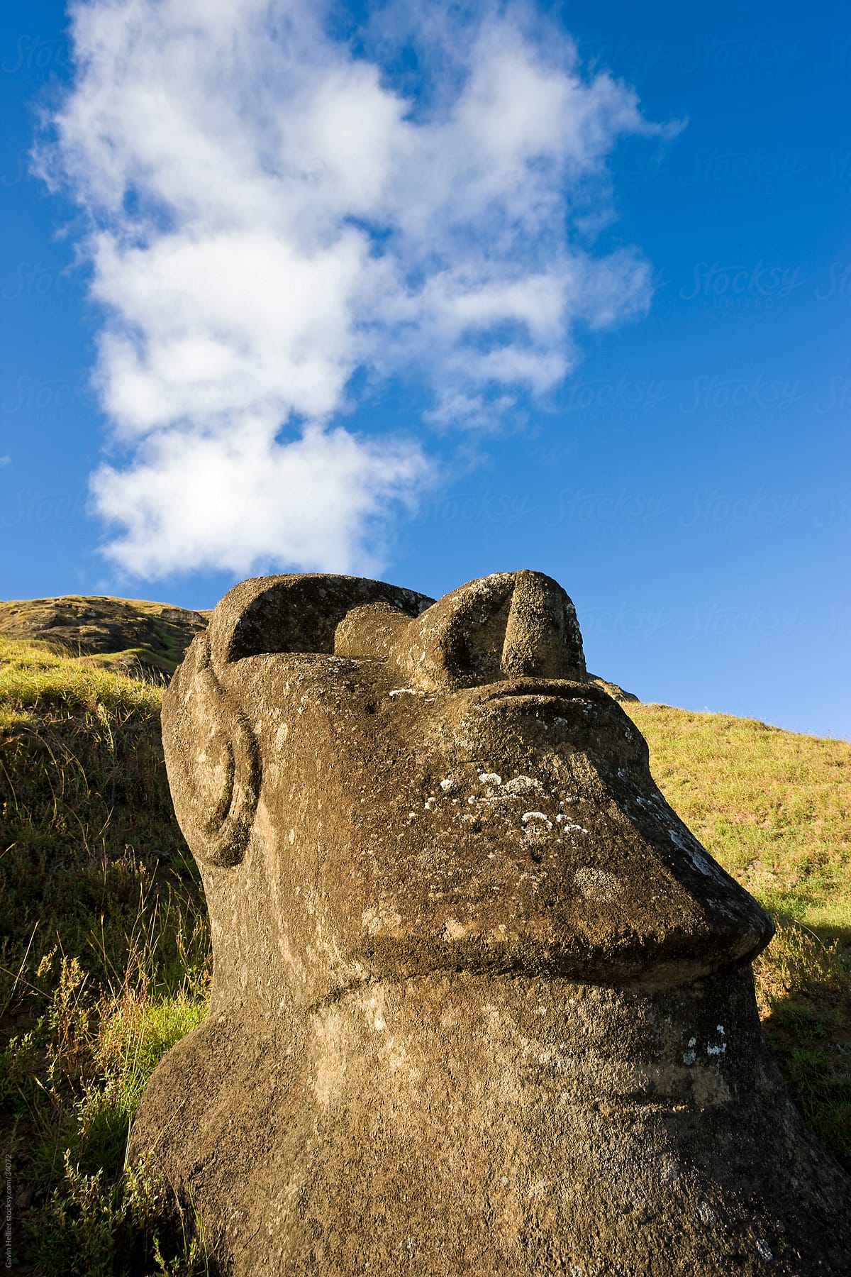 South America, Chile, Rapa Nui, Easter Island, giant monolithic stone Maoi statue at Rano Raraku