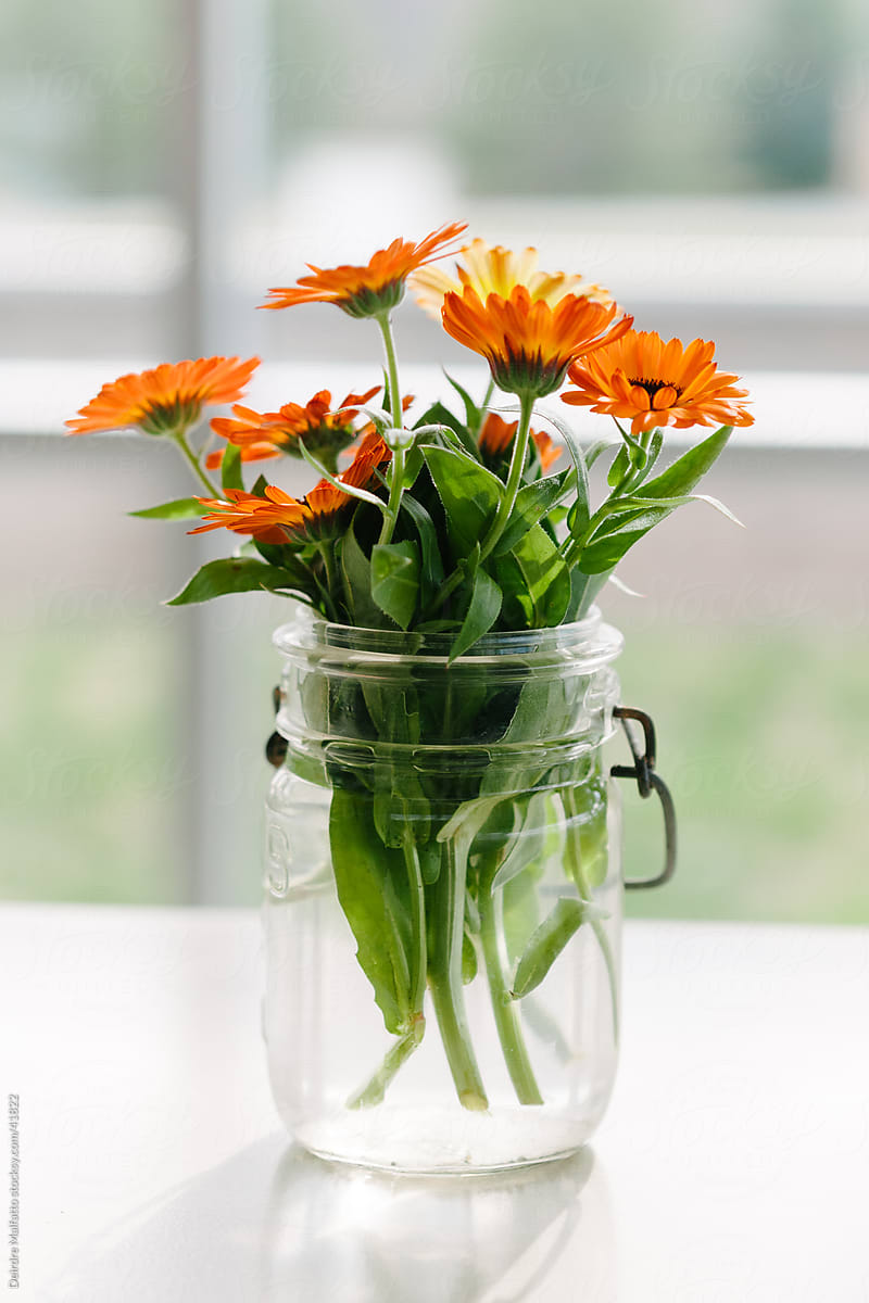 Orange calendula flowers in a glass jar