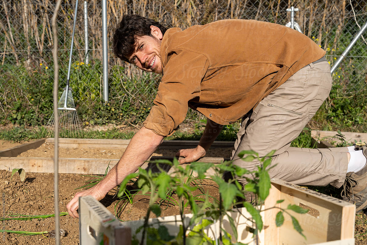portrait of Young happy man planting vegetable plants on garden