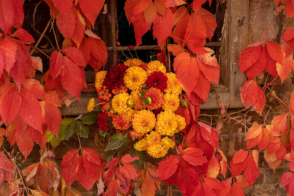 autumn bouquet of flowers