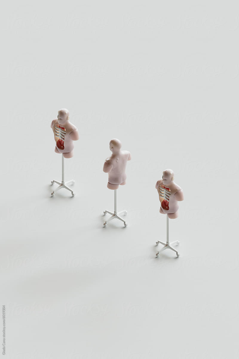 3D Render of Sparse Human Torso Models