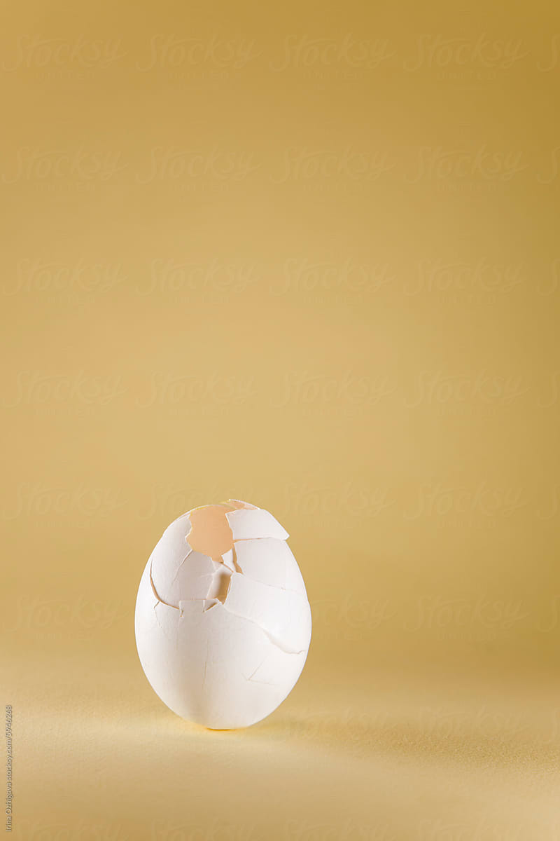 Broken Egg  on Yellow Background