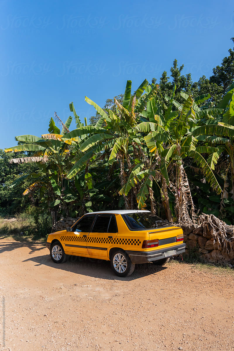 Yellow Taxi Parked Under Palm Trees