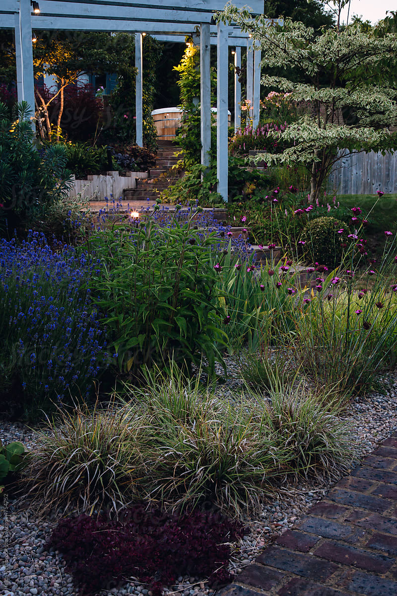 A landscaped garden lit at night