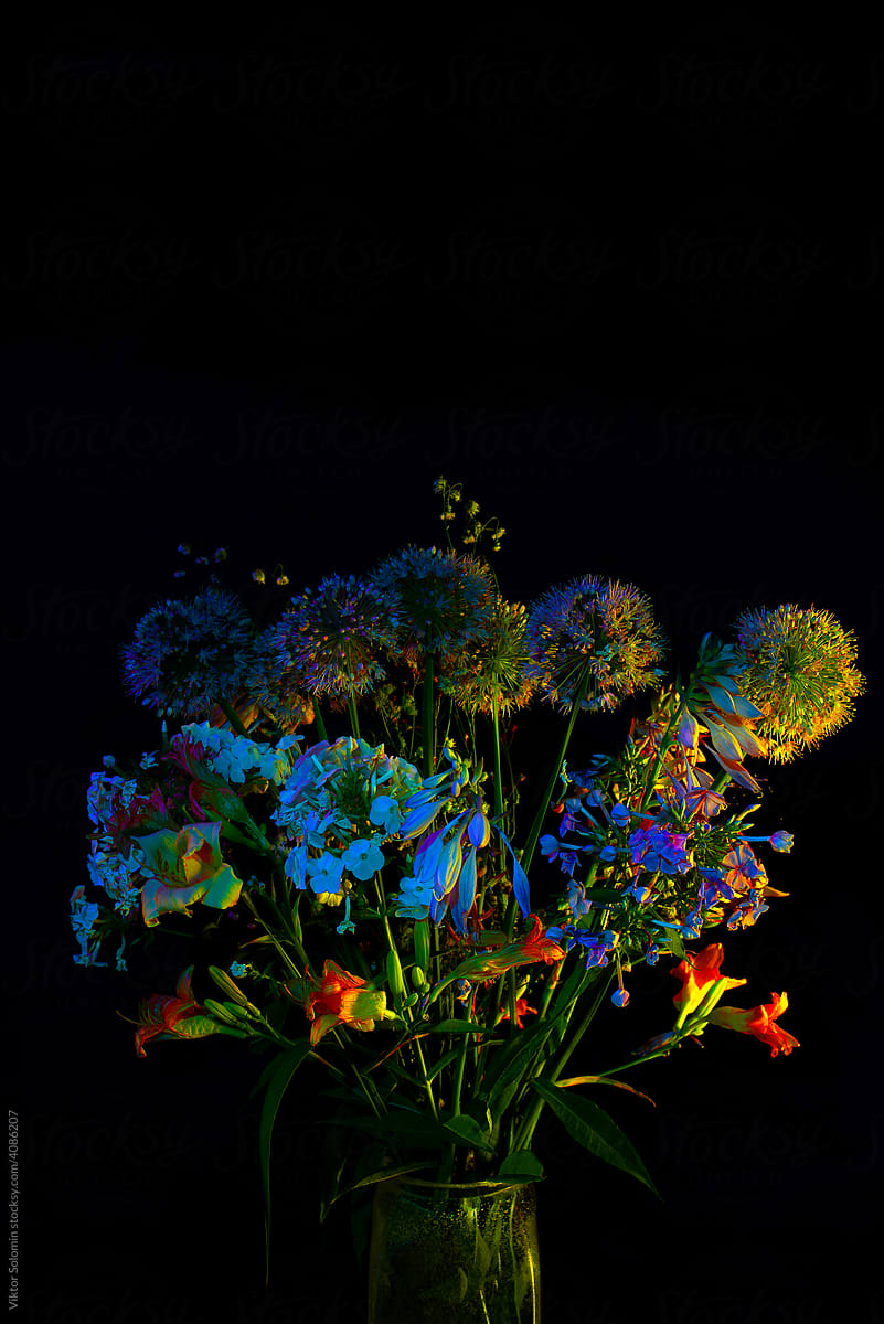 Blooming flowers in vase in studio neon light