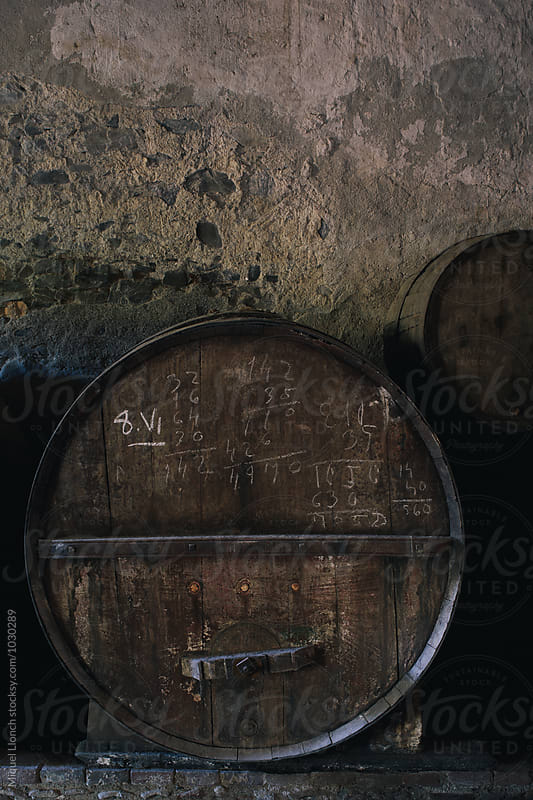 Old cellar with with huge barrels