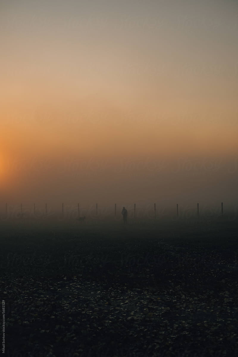 A man walks his dogs in the fog at dawn