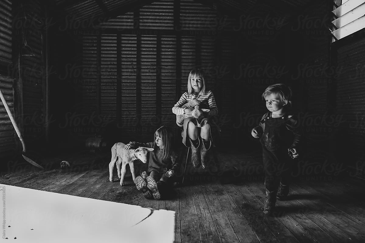 three kids in a barn with two lambs