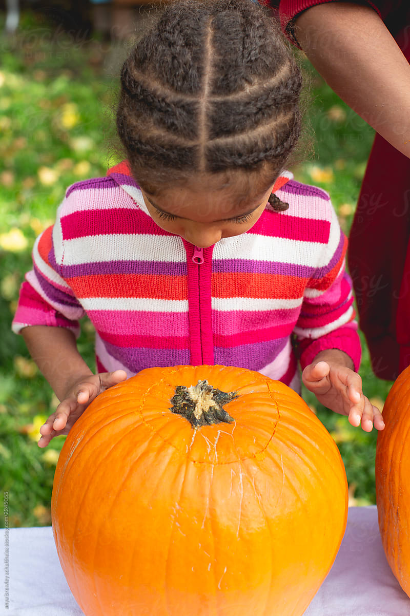 Young girl looking closely at a pumpkin