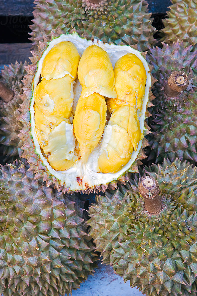 Asia, Malaysia, Durian fruit, contains a bittersweet creamy flesh