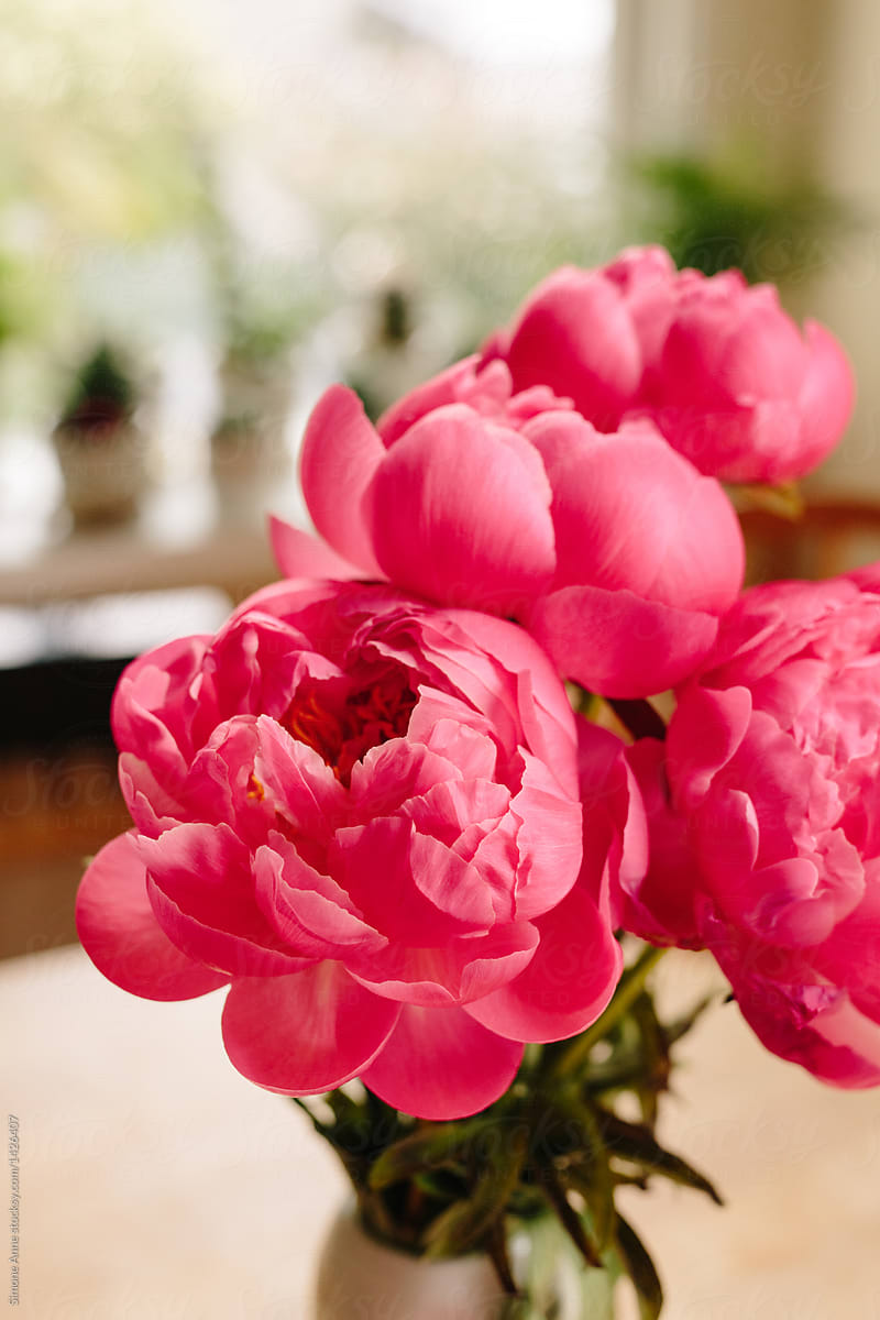 bright pink peony bouquet