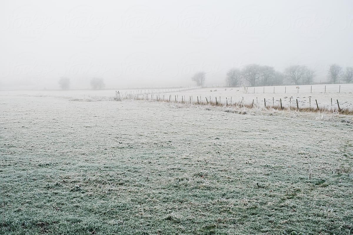 Frost covered countryside