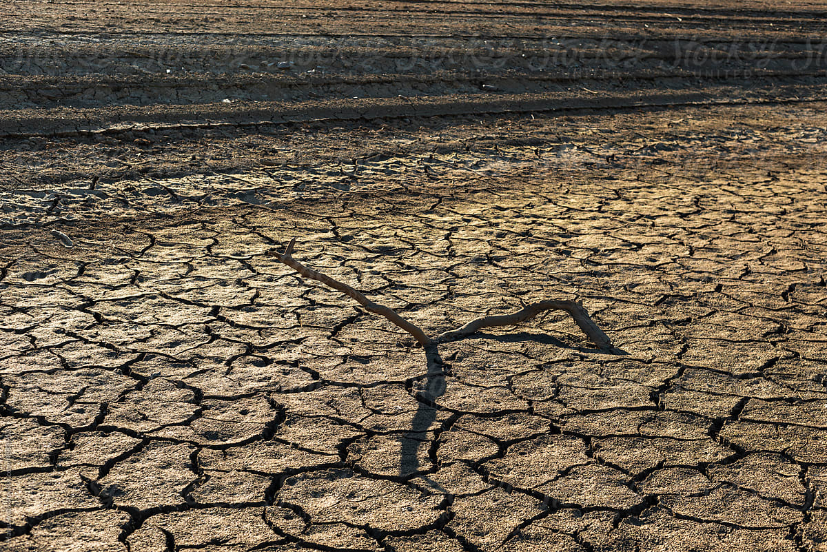 Cracked soil in dried up dam, climate change