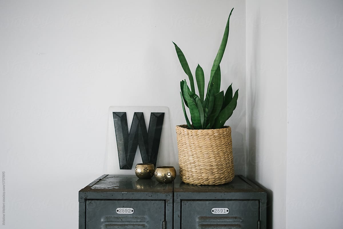 Home decor, metal lockers with plant in basket and gold candle h