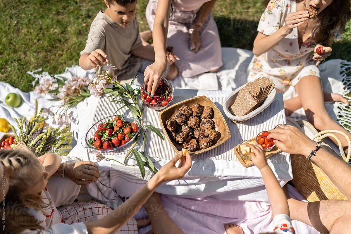 Family picnic with berries and sweets
