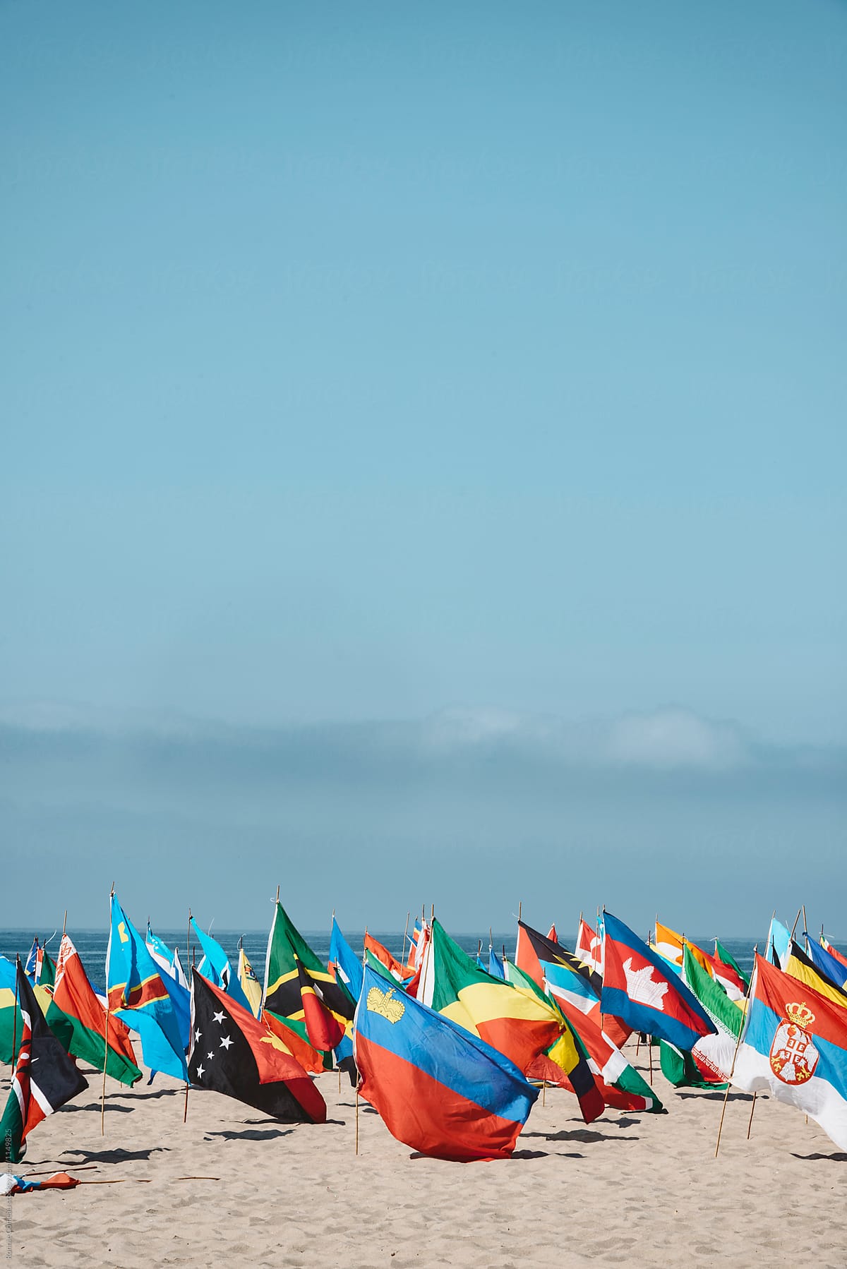 Flags of Many Nations