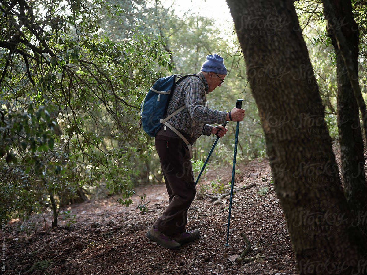 Aged hiker walking in a forest path