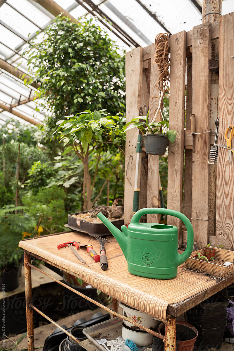Watering Pot On Greenhouse Table