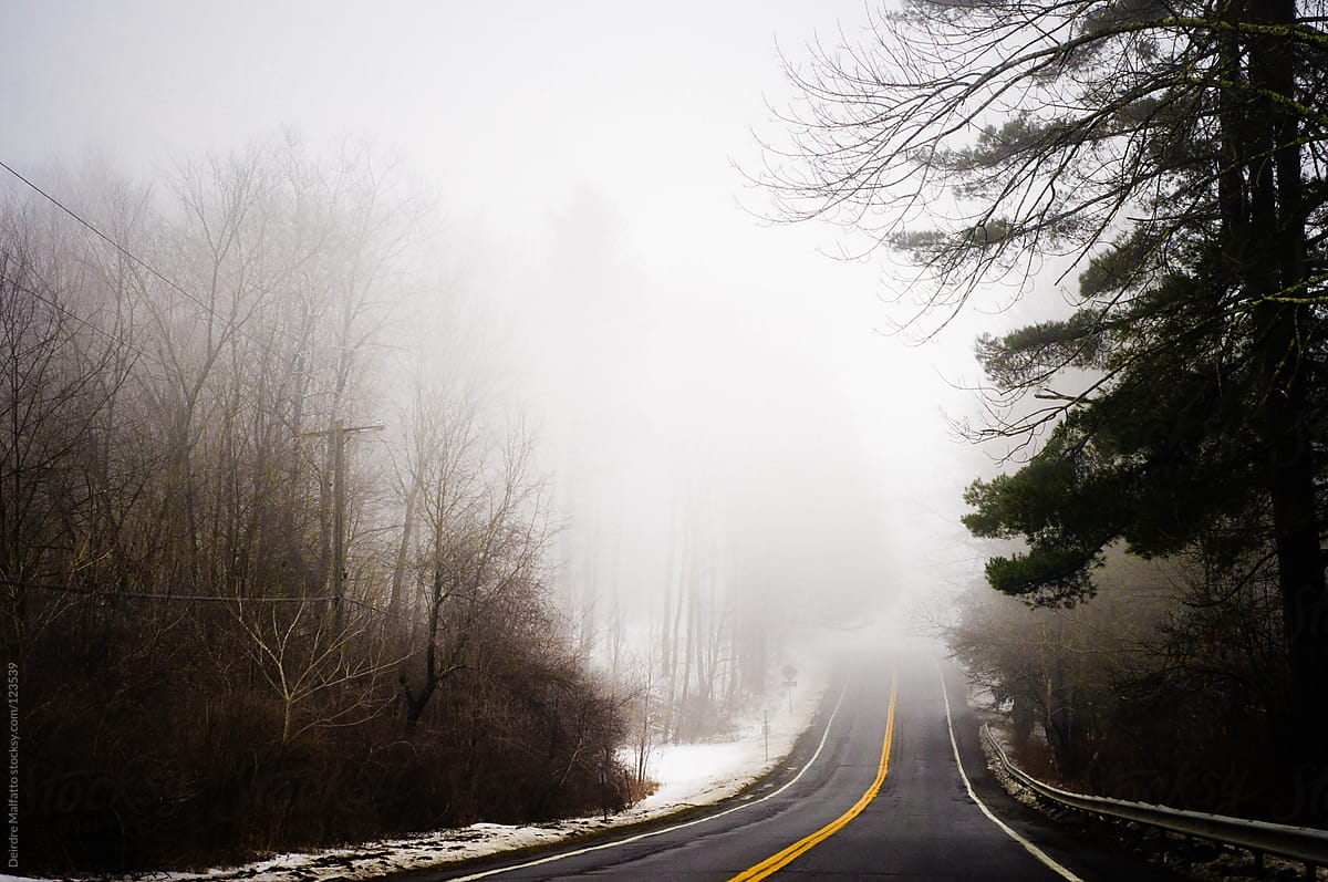 road through forest and fog in winter