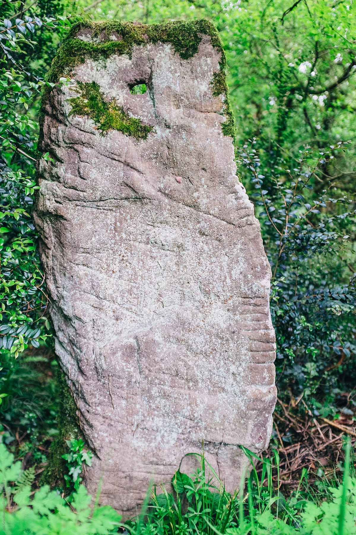 Standing stone in the forest
