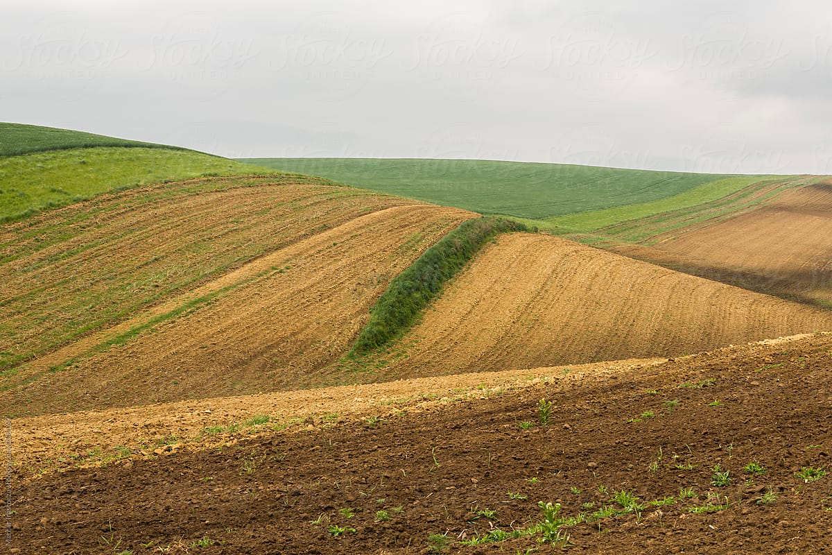 The beauty of the fields in South Moravia