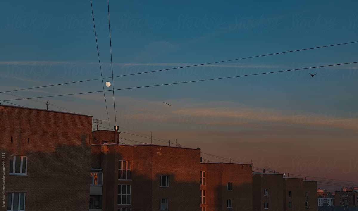 Composition Evening City Landscape With Moon and Birds