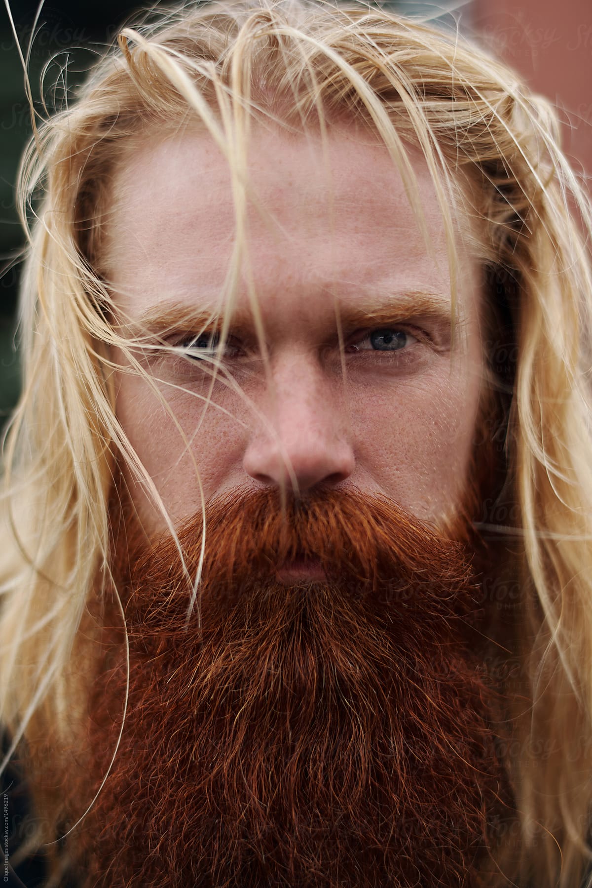 Portrait of handsome nordic man