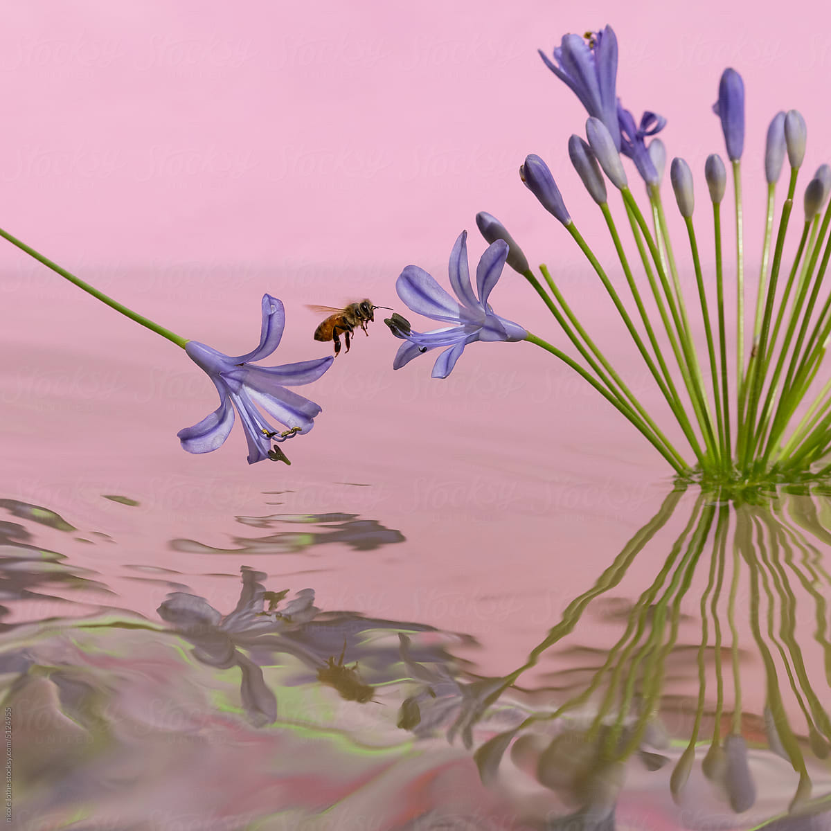 Bee flying between flowers, psychedelic reflections.