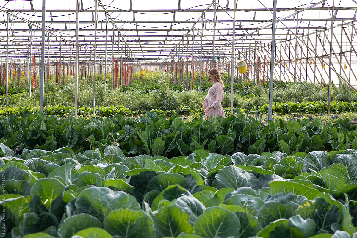 Pregnant woman in greenhouse