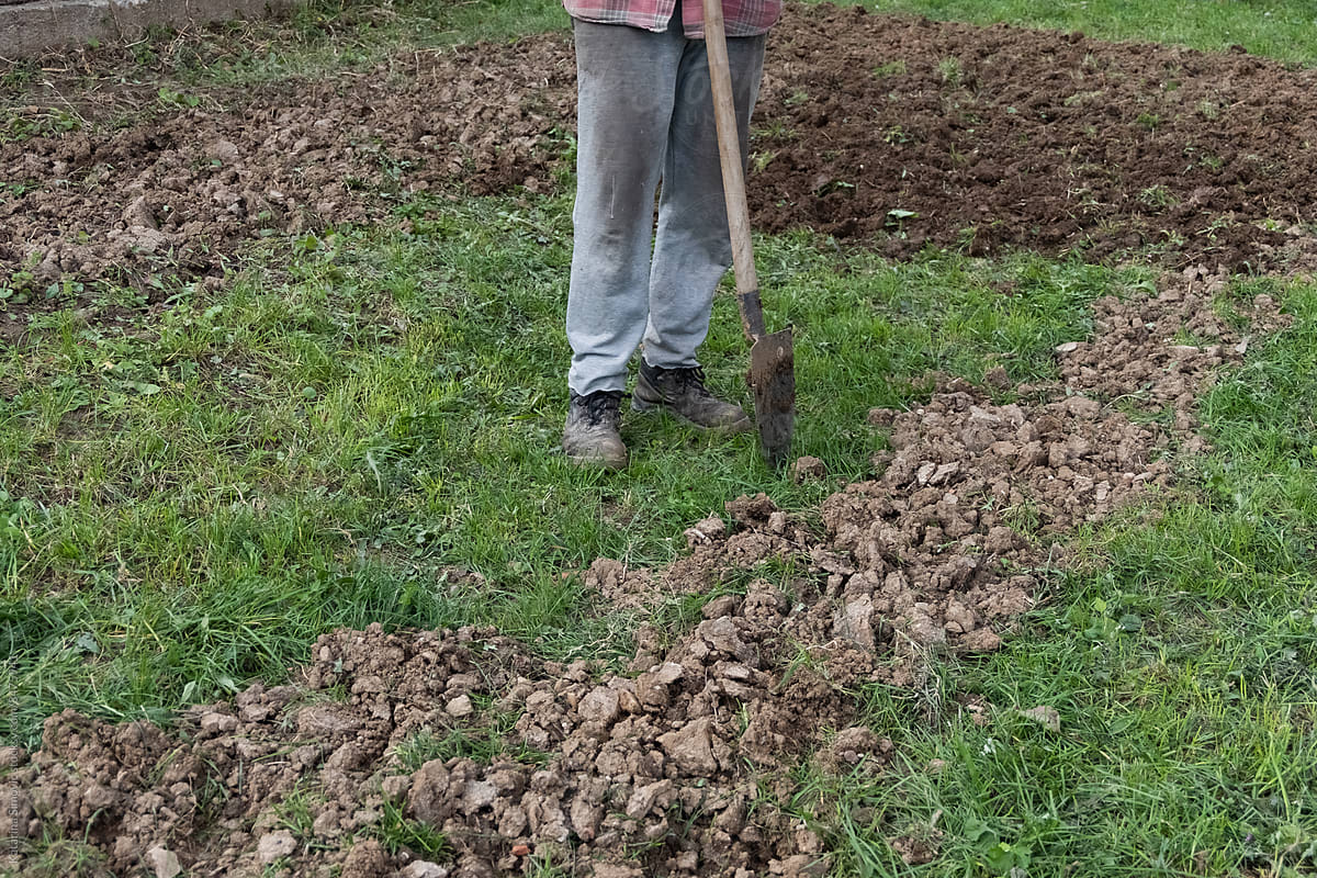 An old man preparing garden for next season