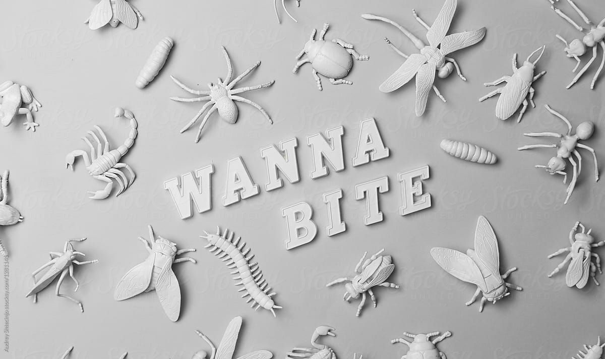 Insectorium/collection of bugs/insects with text \
