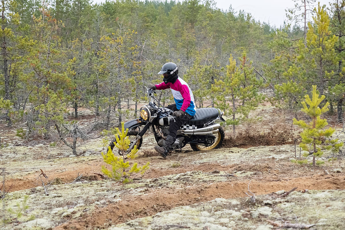 A rider on a classic motorcycle rides in a skid among the pine forest