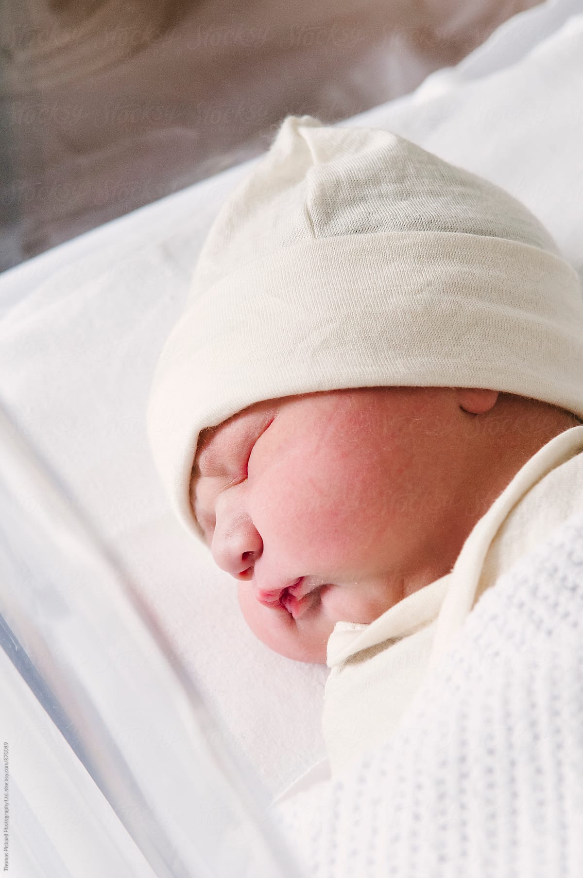 One day old newborn sleeping at hospital, New Zealand.