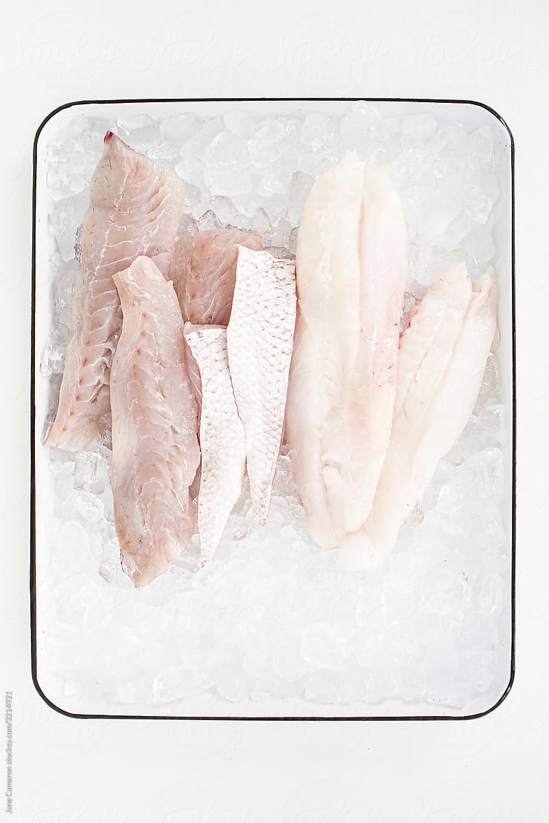 Fish Fillets on Ice in a Tray
