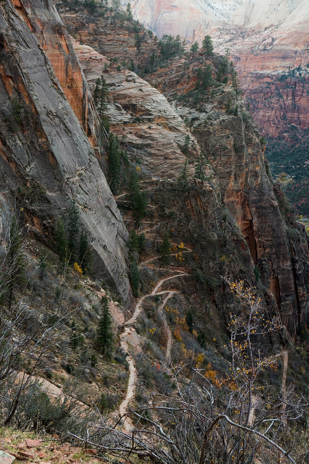 Winding Switchbacks on Colorful Canyon Trail