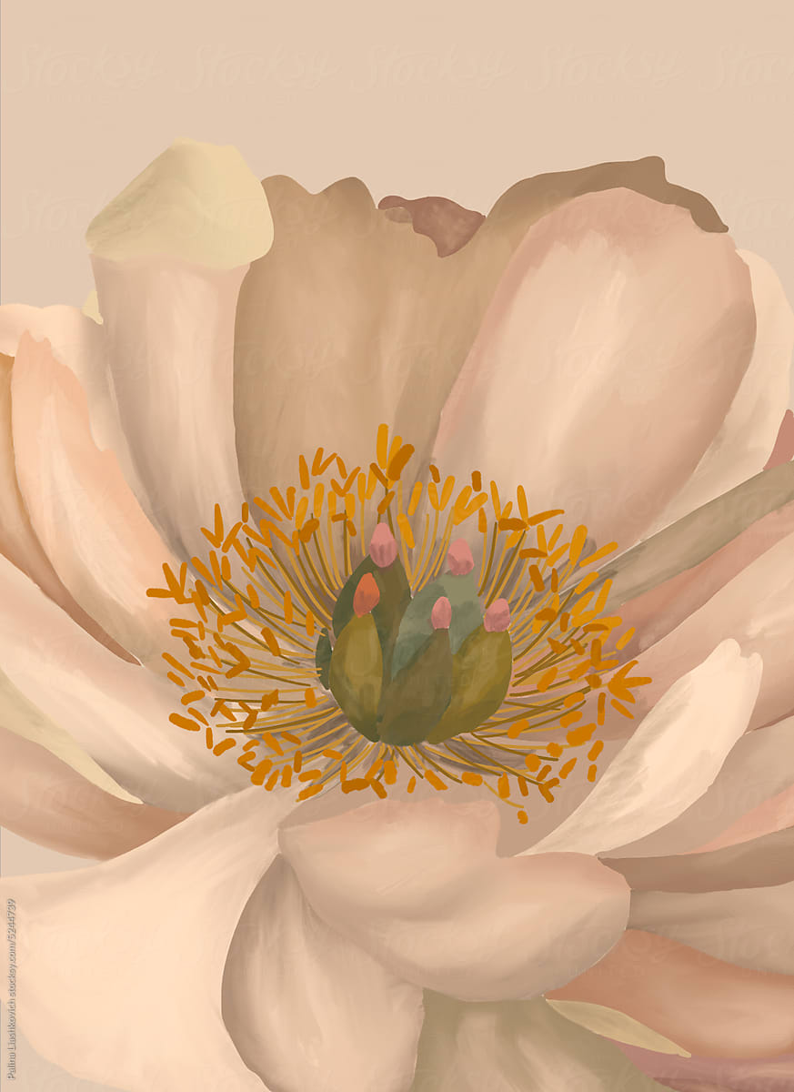 Beige peony on neutral background.