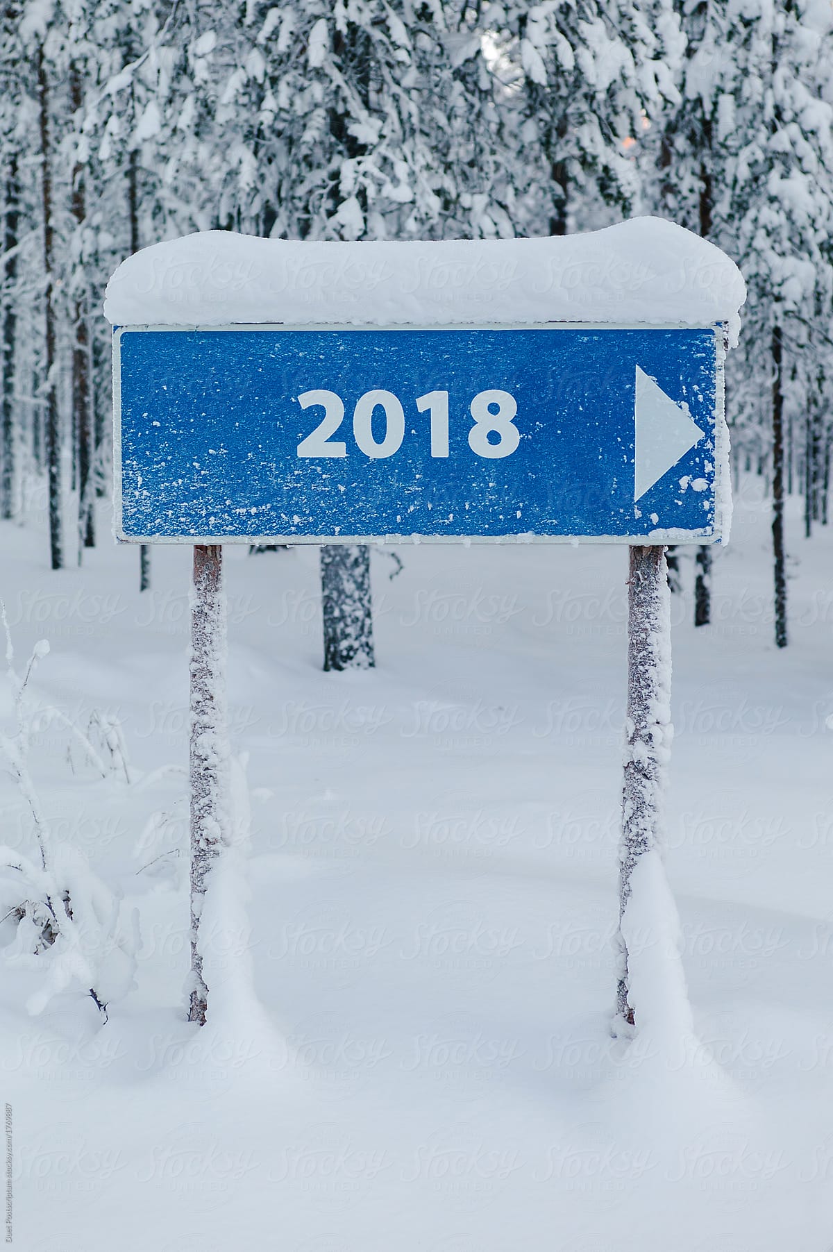 Direction sign 2018 in snowy woods