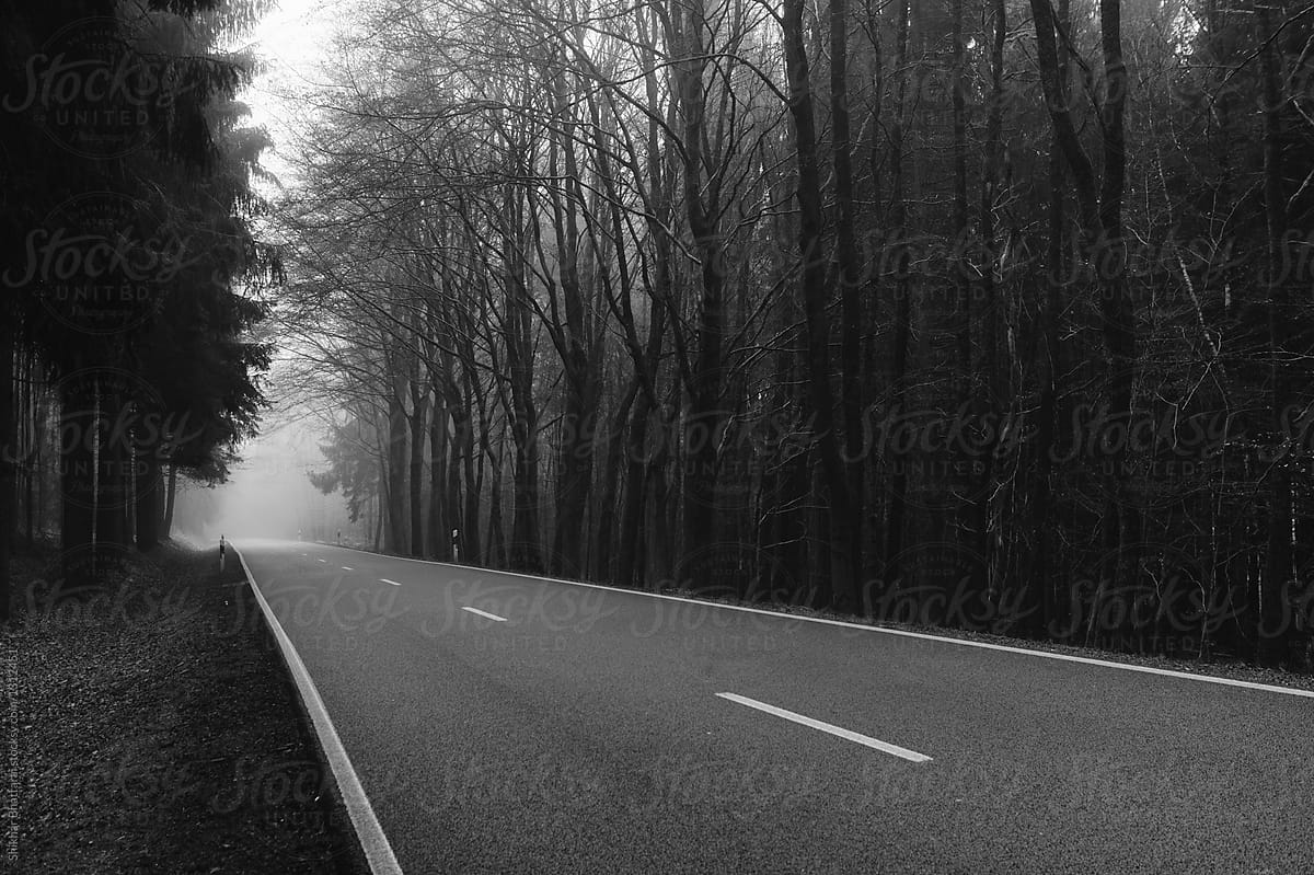 Black and white image of a road going through the woods.